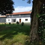 Amarante Des Landes *