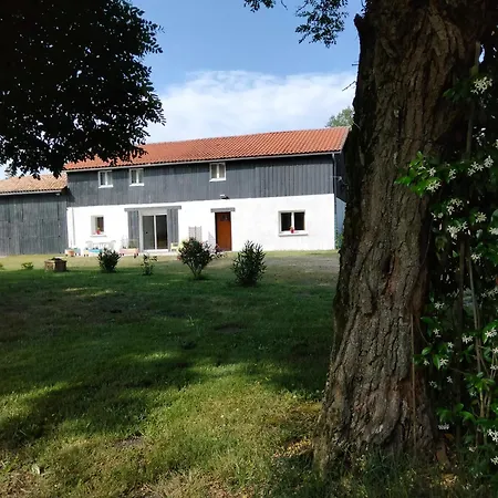 Amarante Des Landes *