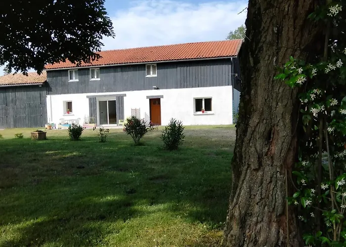 Amarante Des Landes *