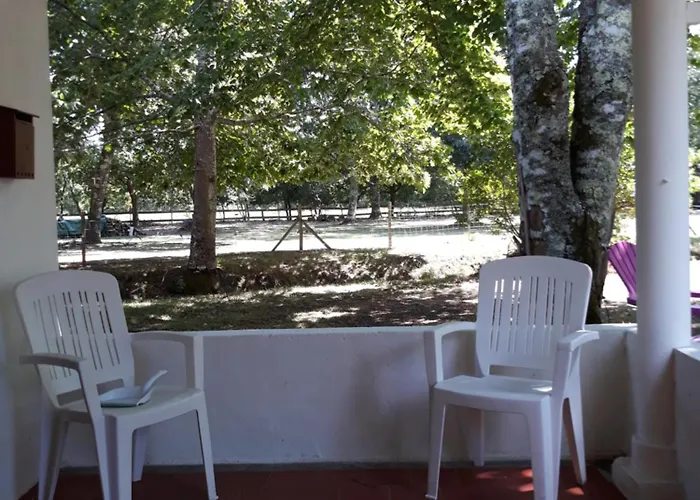 Amarante Des Landes * Cap de Pin