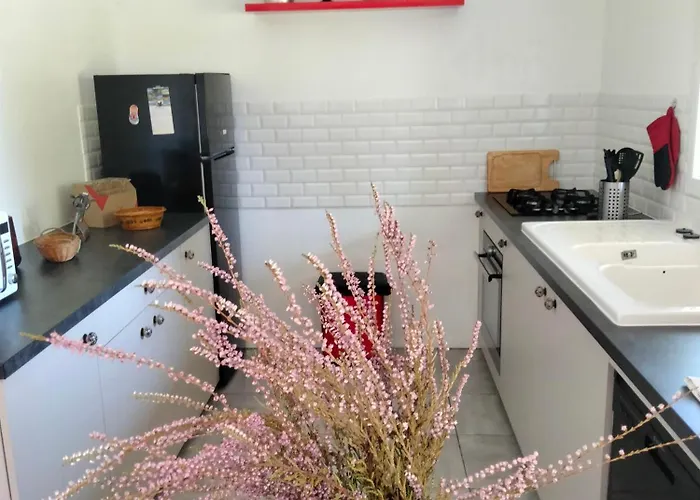 Amarante Des Landes * Cap de Pin