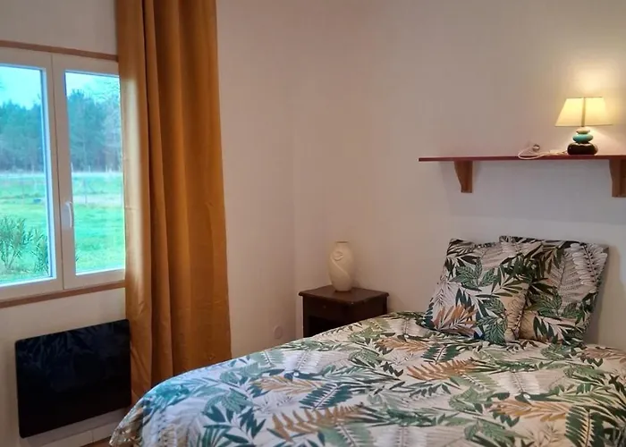 Amarante Des Landes * Cap de Pin